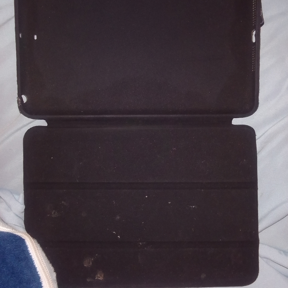 Mini iPad case